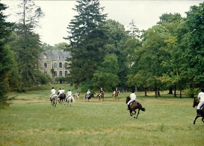 Chateau Le Parc De *