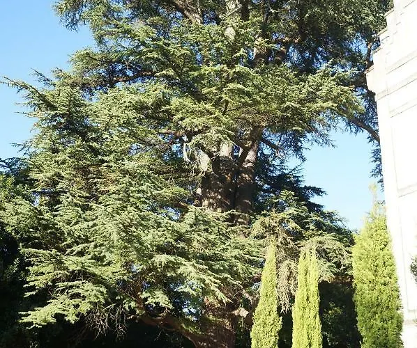 Guest house Chateau Le Parc De